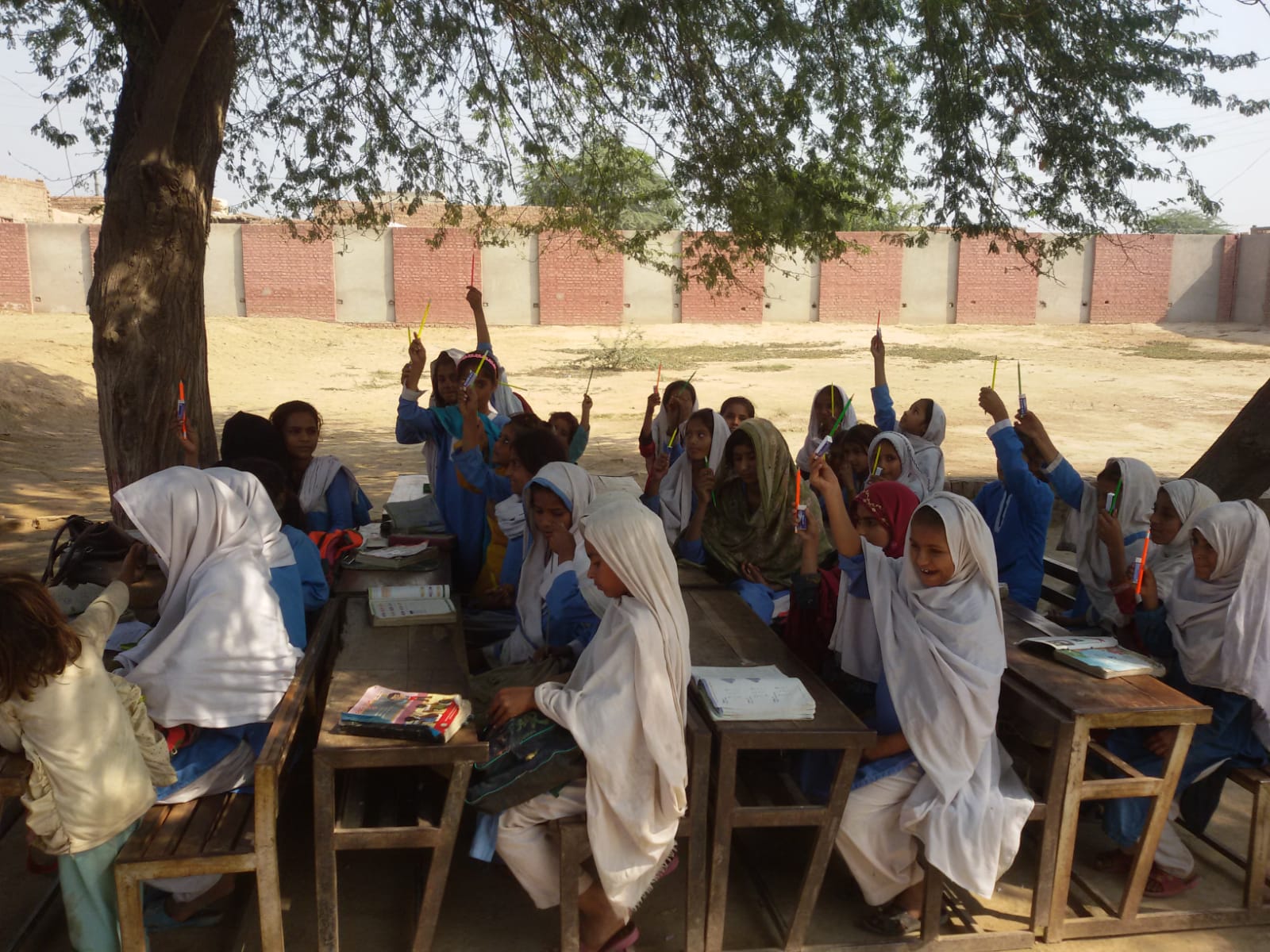 2020 Govt. Primary School 515GB, Toba Tek Singh, Pakistan